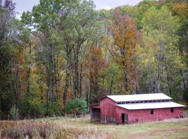 Barn in Fall